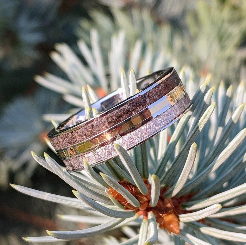 Meteorite Ring with 14k Gold and Dinosaur Fossil Inlay, Custom Made 14k Gold Meteorite Wedding Band